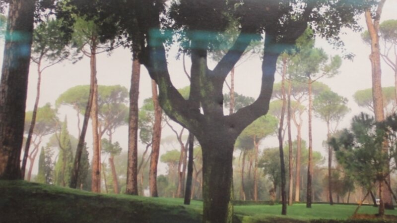 8th Annual Exhibit Borghese