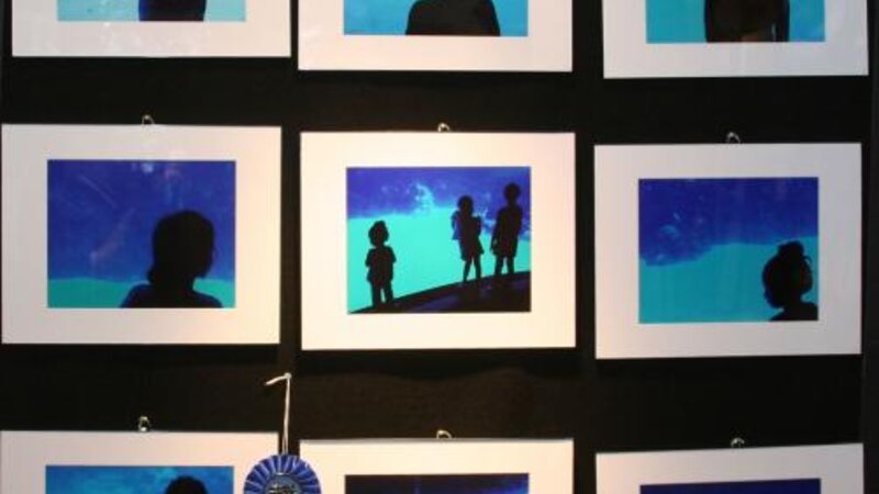 3rd Annual Exhibit Atlantic Health Intermediate First Place 2009