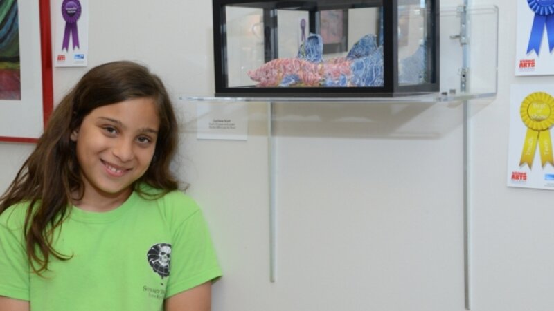 7th Annual Exhibit The Koi Who Lost His Pond