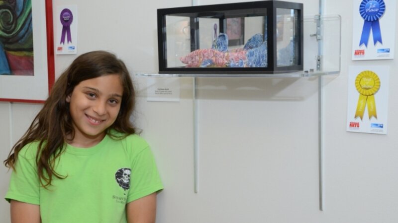 7th Annual Exhibit The Koi Who Lost His Pond