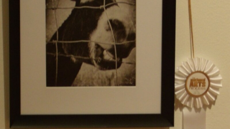 10th Annual Exhibit Smile Like You Mean It