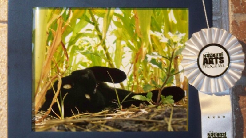 4th Annual Exhibit Blackie