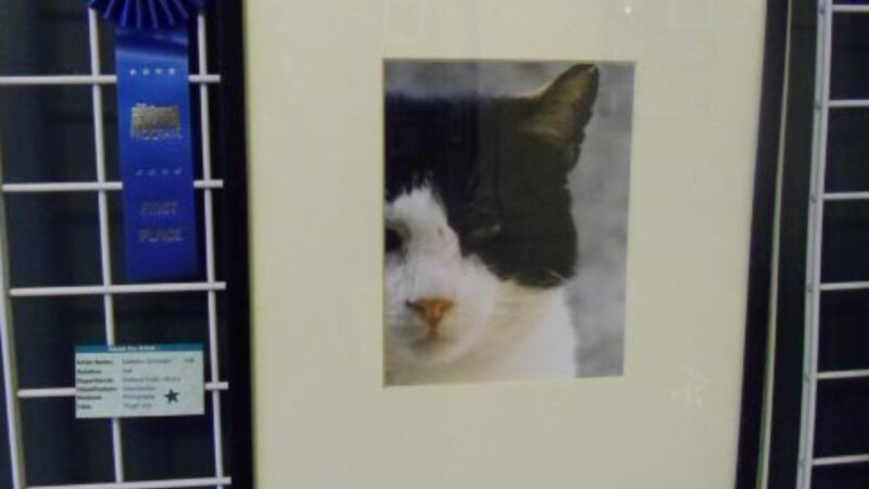 7th Annual Exhibit Tough Guy