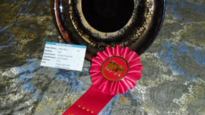 7th Annual Exhibit Fused Glass Plate with Metallic Elements