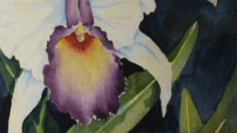 7th Annual Exhibit Lily