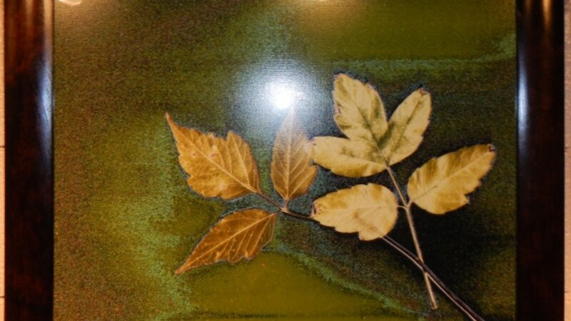 6th Annual Exhibit Last of the Season