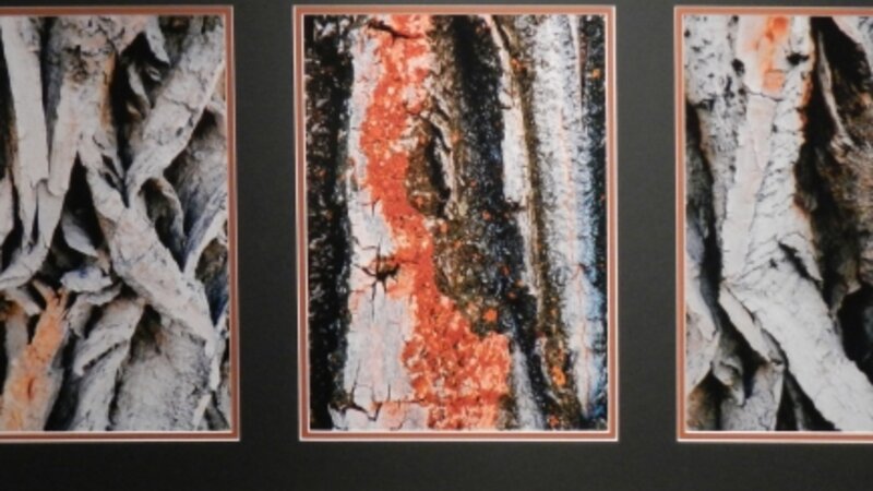 6th Annual Exhibit Better with Age