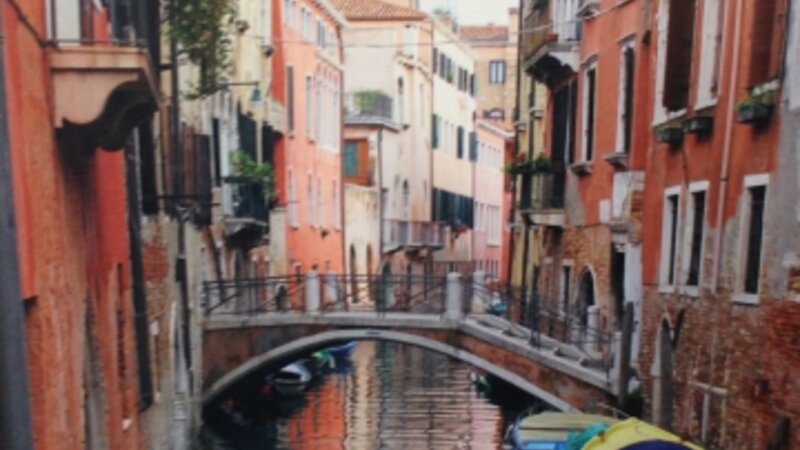 9th Annual Exhibit Venice Reflections