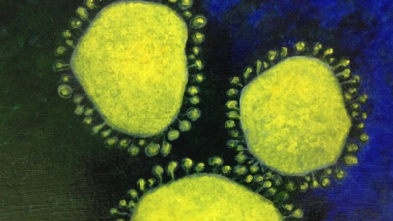 9th Annual Exhibit Coronaviruses with Peplomers