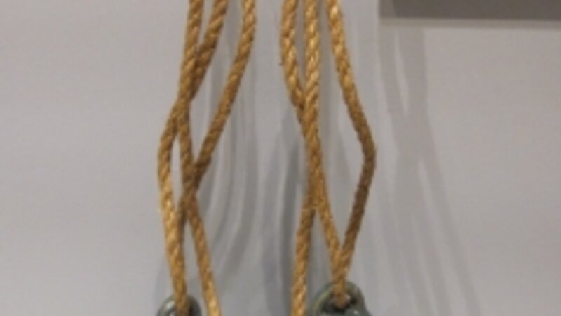 1st Annual Exhibit Bluebells