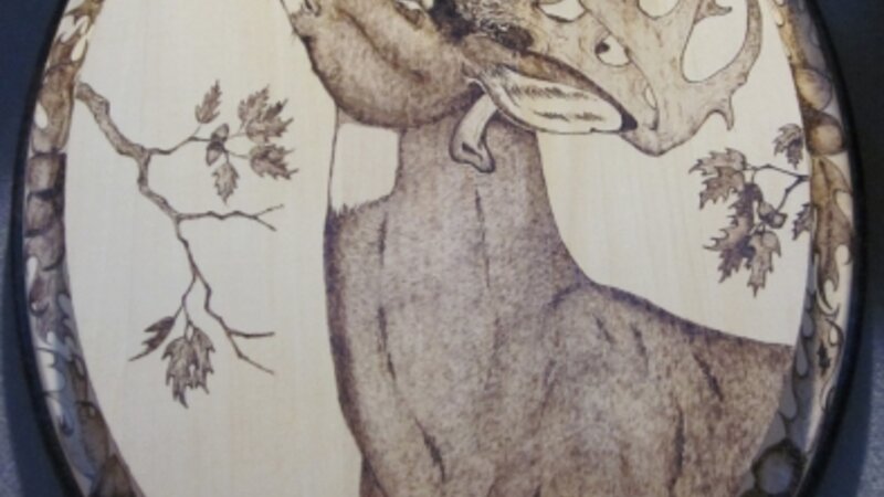 1st Annual Exhibit Whitetail Buck