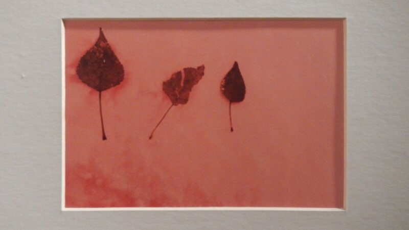 7th Annual Exhibit The Little Red Leaves