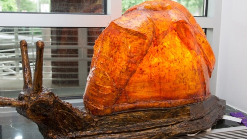 9th Annual Exhibit Snail Lumineer