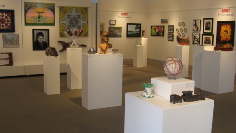 6th Annual Exhibit The Gallery SPACE in Savannah, GA adored with artwork from the 6th Annual NAP Exhibit.