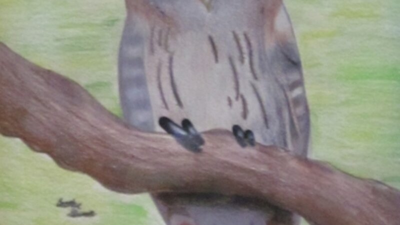 1st Annual Exhibit Night Eyes