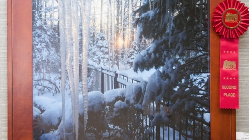 9th Annual Exhibit Winter Dawn