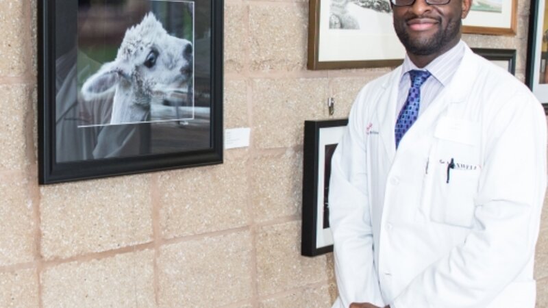 3rd Annual Exhibit Untitled 2