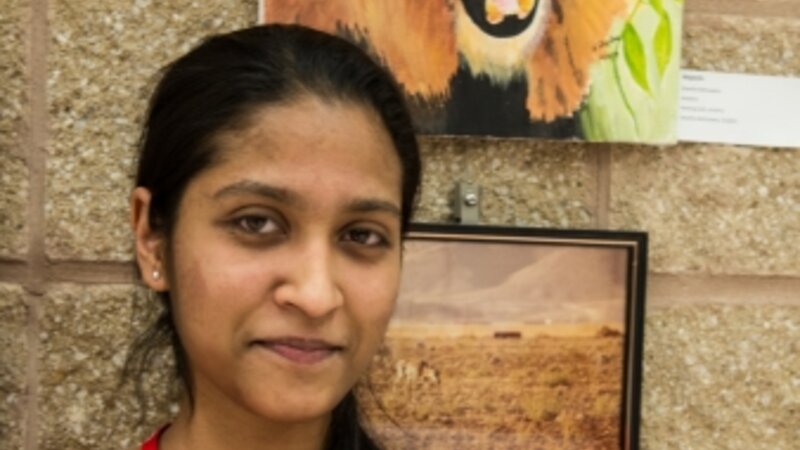 3rd Annual Exhibit Majestic