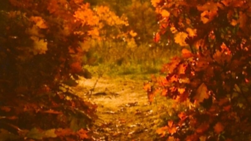 7th Annual Exhibit Mystic Path