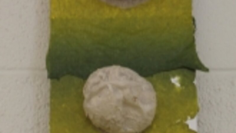 5th Annual Exhibit Growing Season