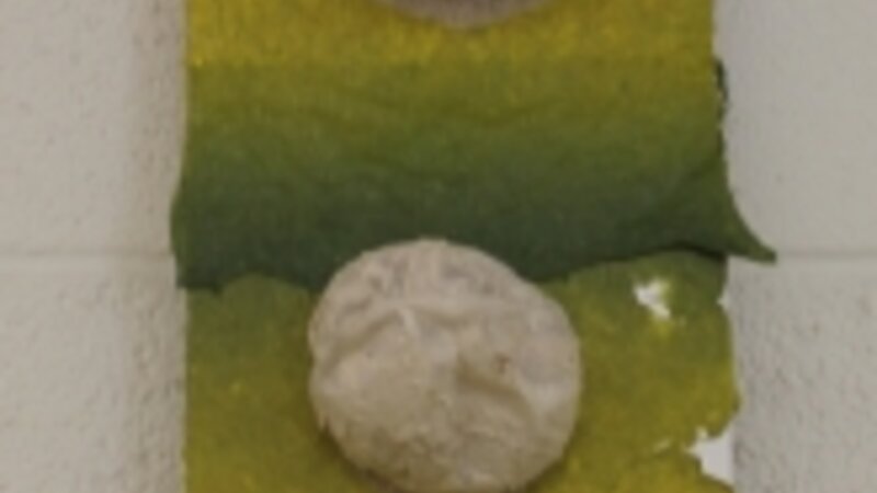 5th Annual Exhibit Growing Season