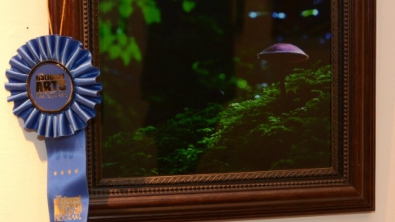 8th Annual Exhibit Mushroom #3