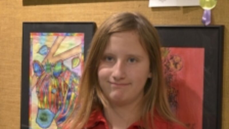 23rd Annual Exhibit Bright Turtle