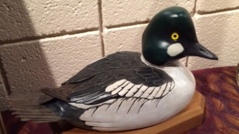 8th Annual Exhibit American Goldeneye