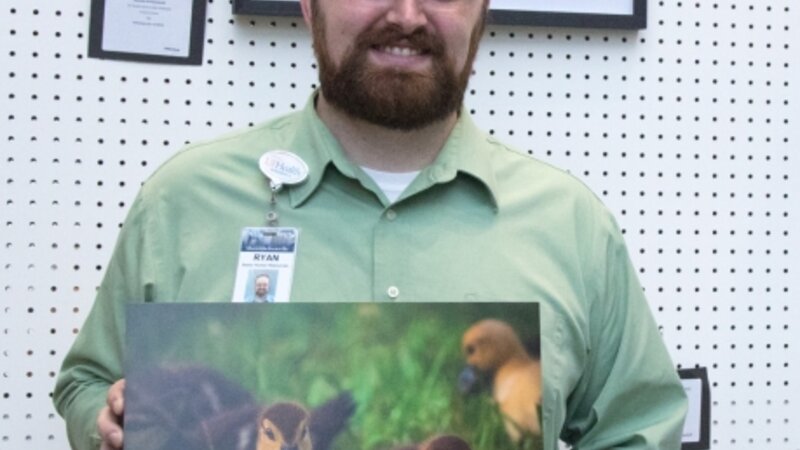 4th Annual Exhibit Grazing in the Morning Light