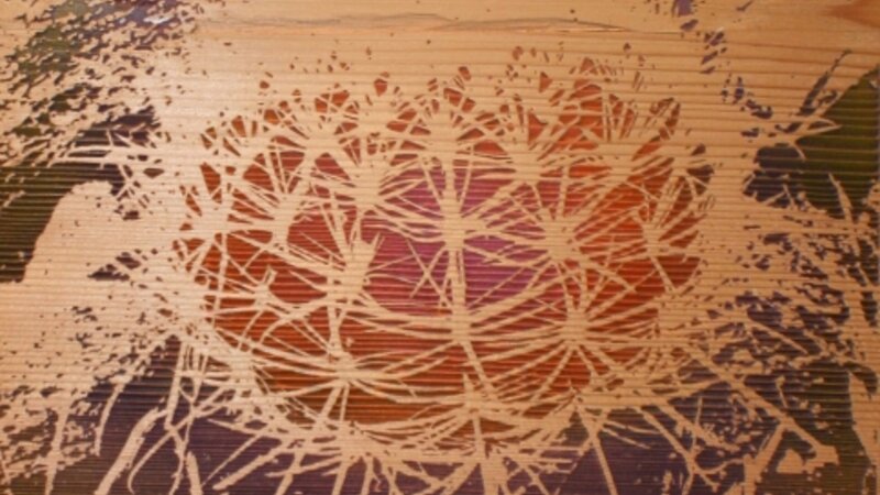 8th Exhibit Blair Valley Cactus 1