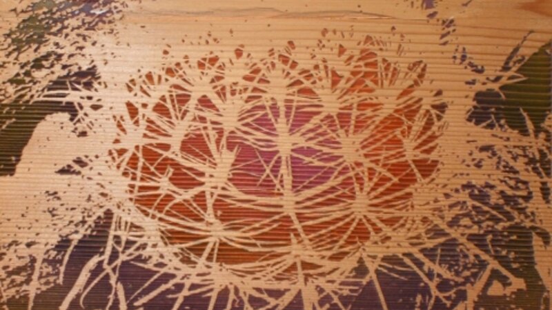 8th Exhibit Blair Valley Cactus 1