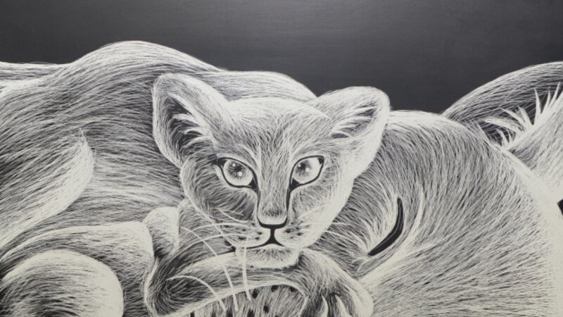 5th Annual Exhibit Safe