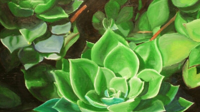 8th Exhibit Succulent of Life