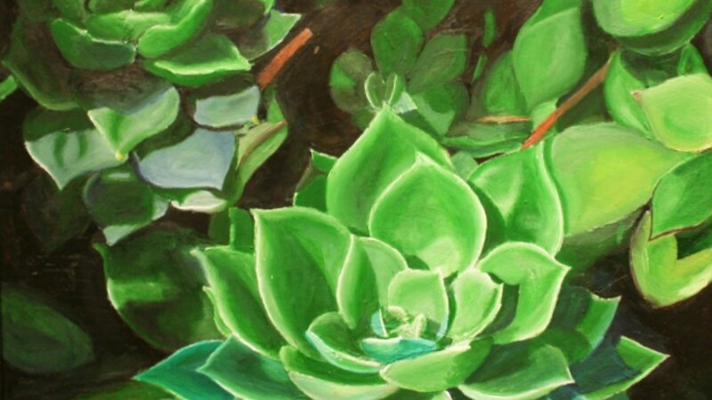 8th Exhibit Succulent of Life