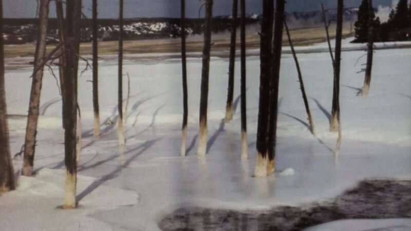 10th Annual Exhibit Nature