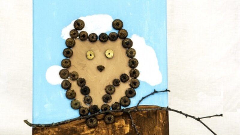 10th Annual Exhibit Acorn Owl