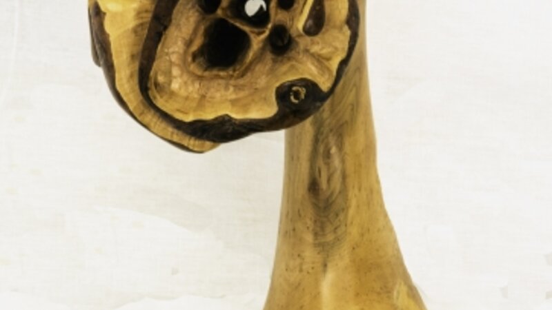 10th Annual Exhibit Maple Coral