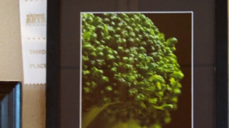 8th Annual Exhibit Broccolli