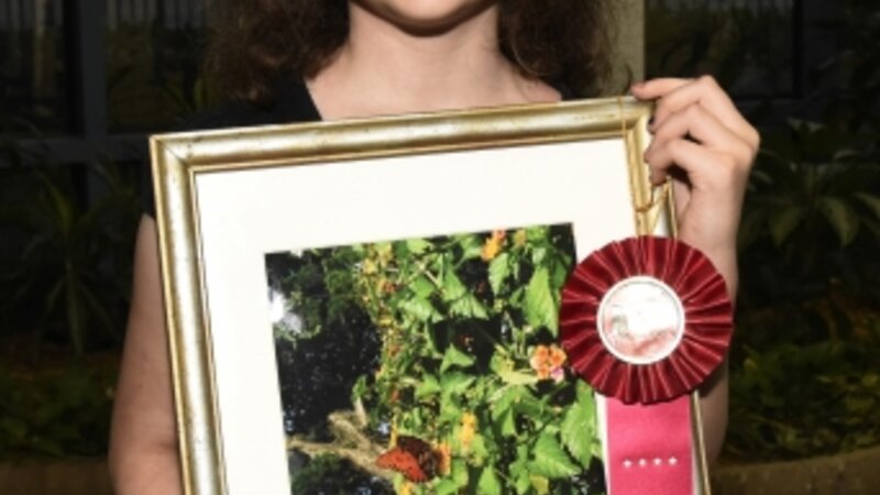 3rd Annual Exhibit My Summer Butterfly