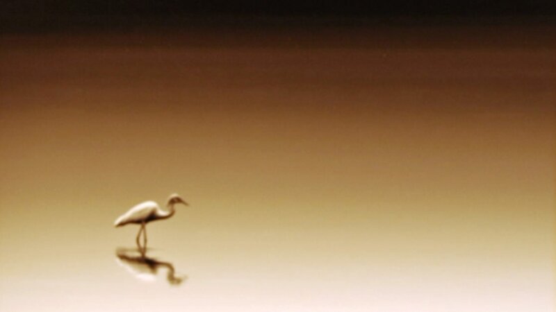 11th Annual Exhibit Alone