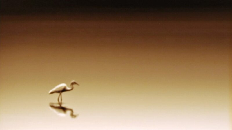 11th Annual Exhibit Alone