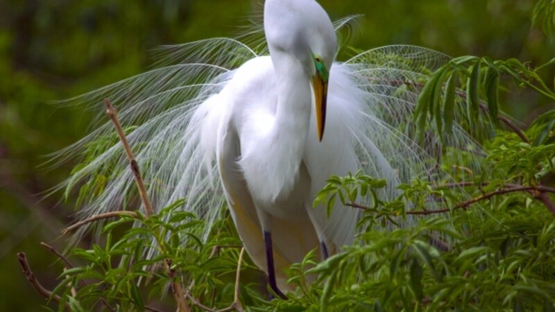 9th Annual Exhibit Presenting