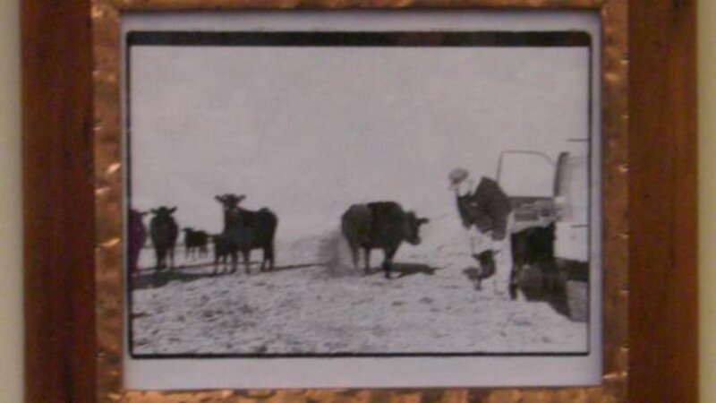 3rd Annual Exhibit Lookout