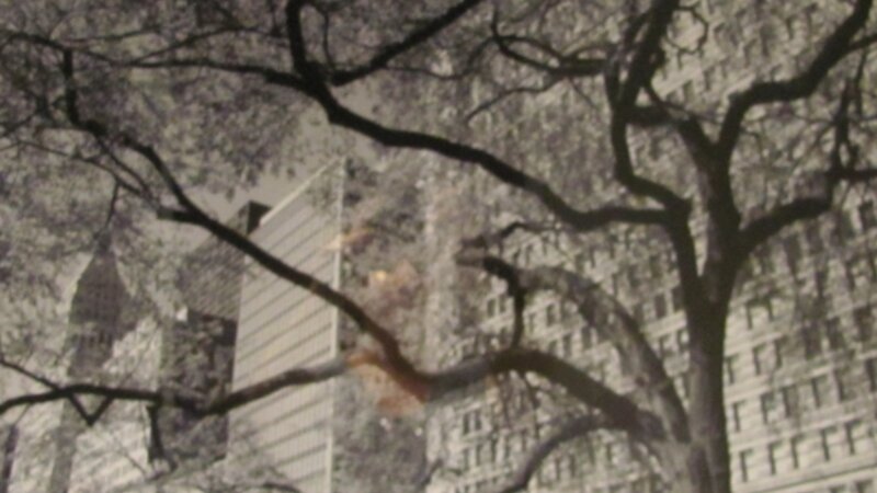 5th Annual Exhibit City Tree