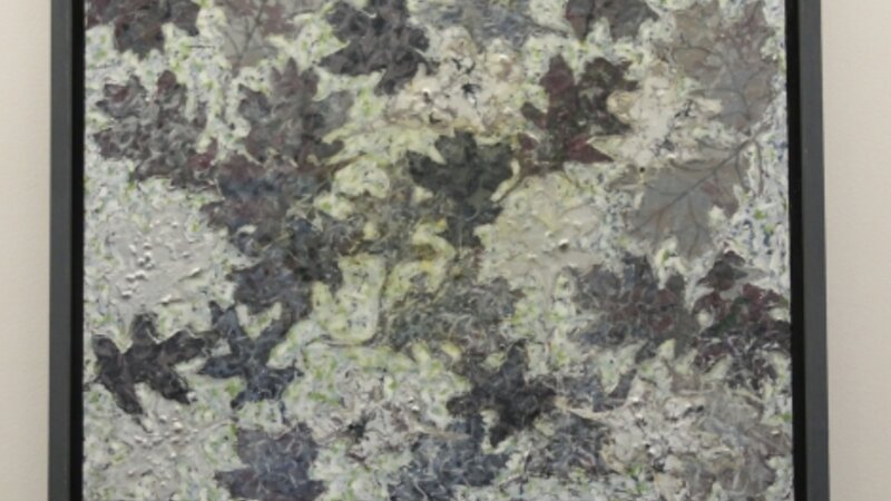 2nd Annual Exhibit Leaves Under Ice