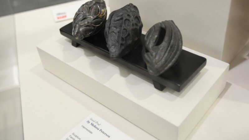 2nd Annual Exhibit Seed Pod