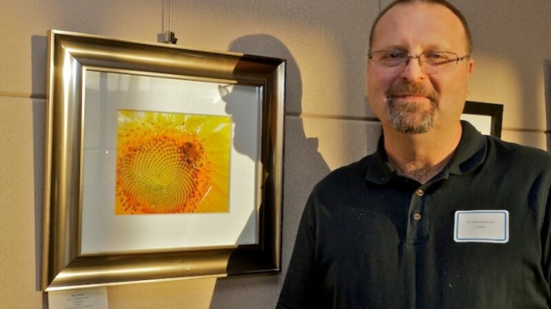 6th Annual Exhibit Bee's Work