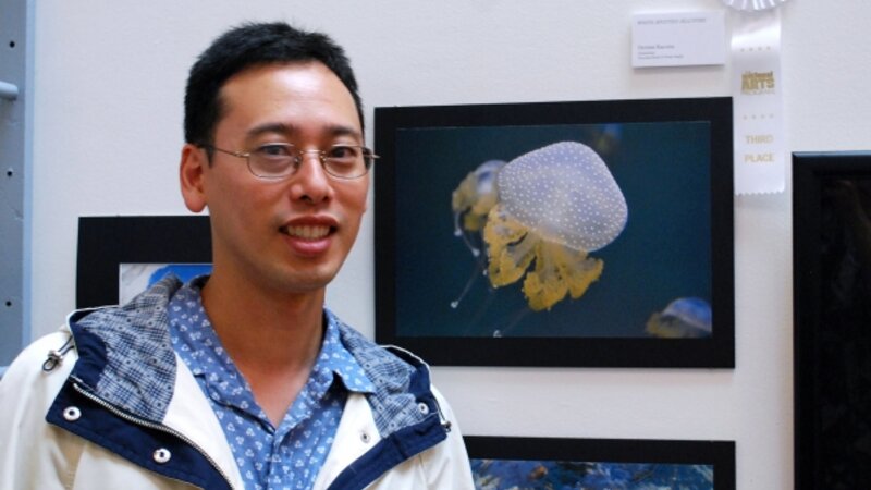 8th Exhibit White-Spotted Jellyfish