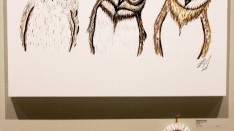 11th Annual Exhibit Sibling Owls