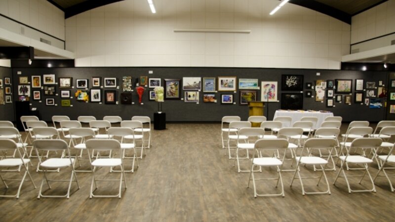 24th Annual Exhibit The Lubbock Municipal Garden & Arts Center all ready for the NAP awards reception.